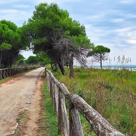 Cozy Independent In Villa Bibione Pineda