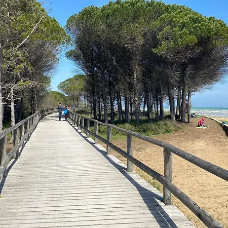 Cozy Independent In Villa Bibione Pineda